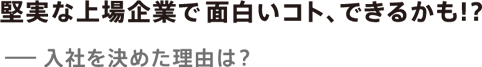 堅実な上場企業で面白いコト、できるかも!?